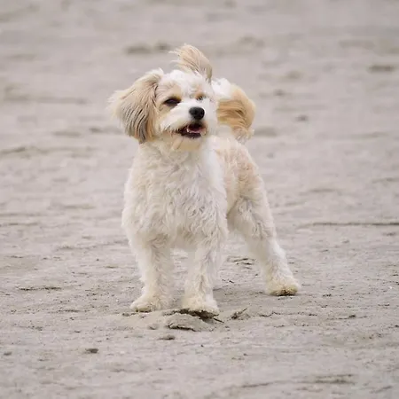 Onnens Hus Vakantiehuis *
