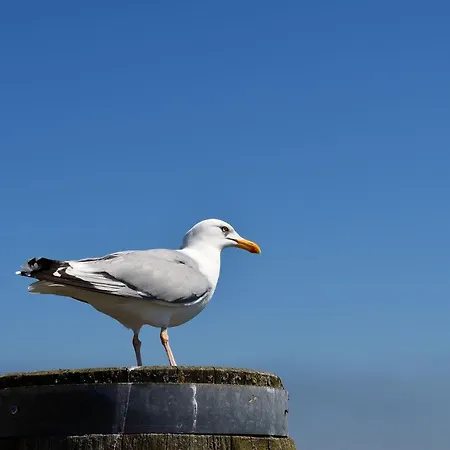 Onnens Hus Дом отдыха