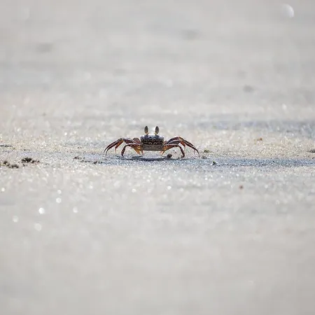 Onnens Hus Wurster Nordseekuste