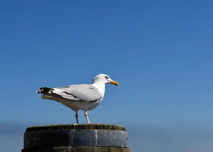 Onnens Hus Дом отдыха